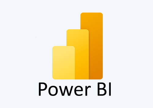 B2B Ecommerce Software with Power BI Integration 